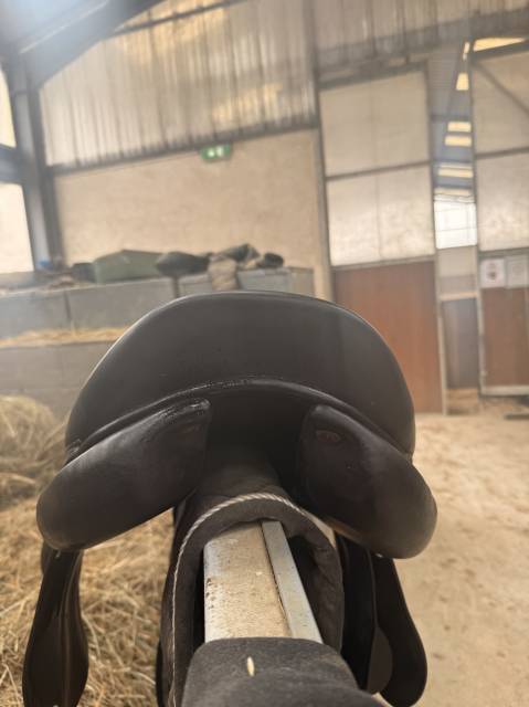 Selle forestier prem’s