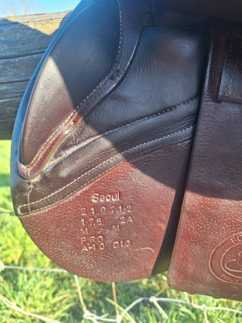 Selle seoul forestier 