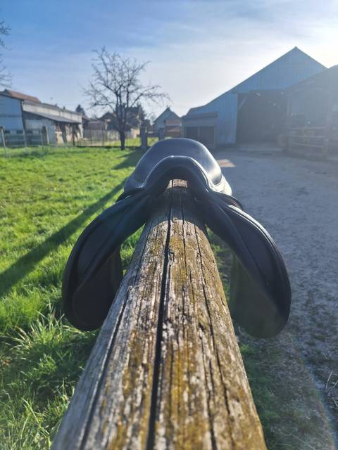 Selle seoul forestier 