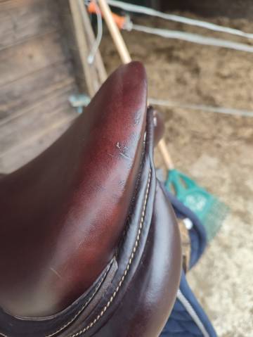 Selle Antares signature 17 