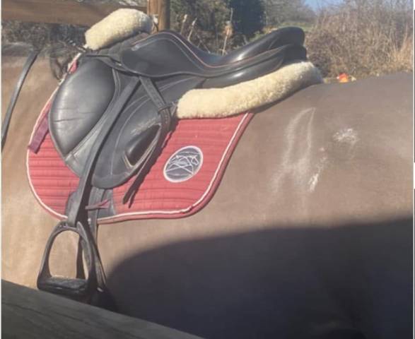 SELLE MONOQUARTIER EQUIPE EXPRESSION