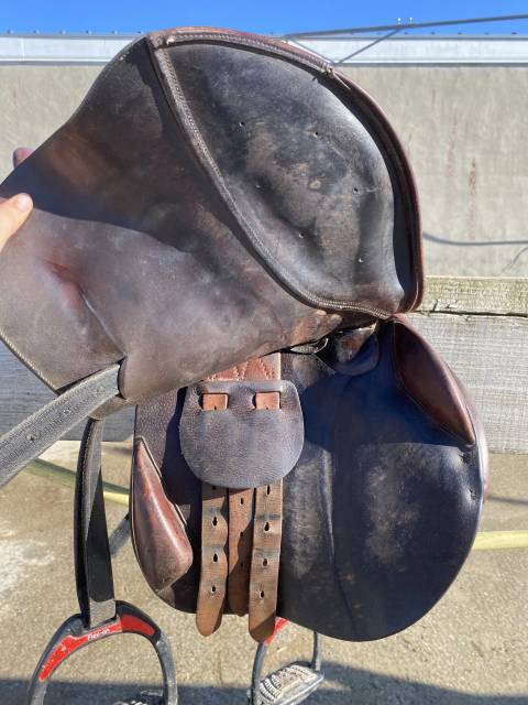 Selle delgrange Athena 17p 