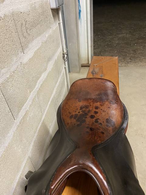 Selle delgrange Athena 17p 