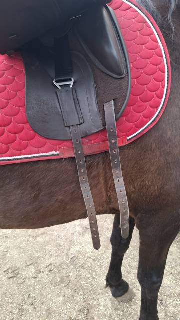 Selle de dressage 17,5