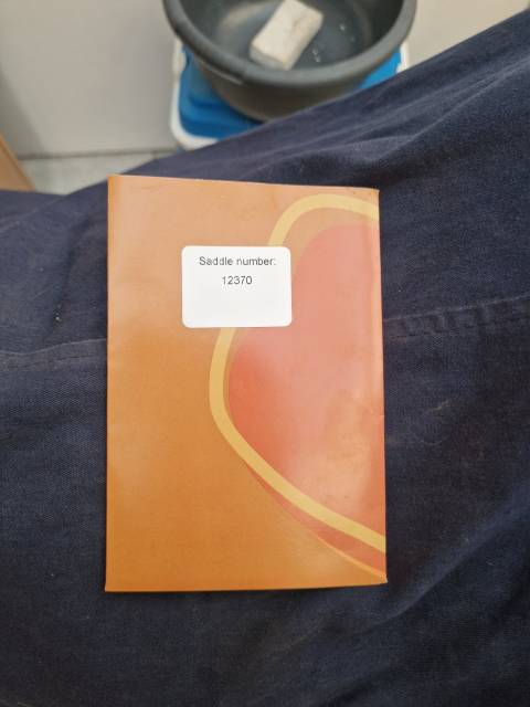 Selle dressage noire Eric Thomas Aix 17"