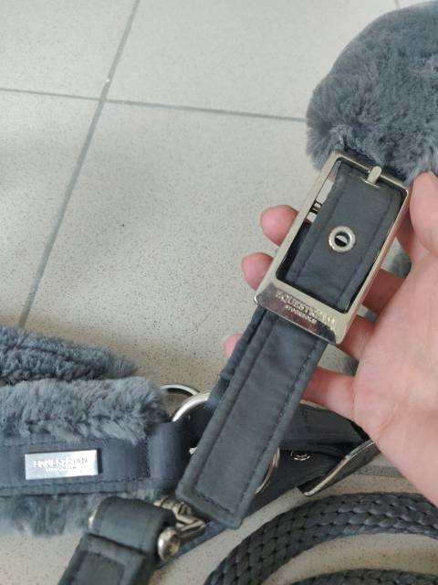 Licol gris Equestrian Stockholm