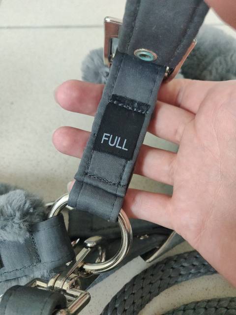 Licol gris Equestrian Stockholm