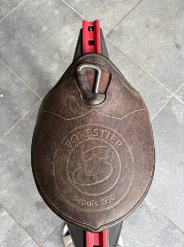 selle forestier noir modele seoul2019 de 17 pouce 