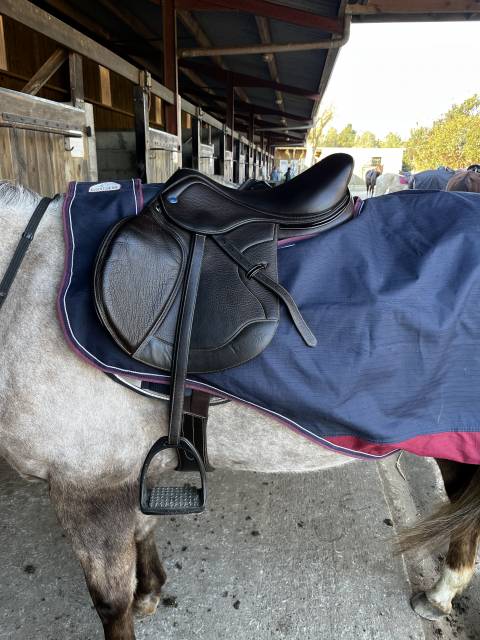 Selle Ikonic  Hybride jump taille 17