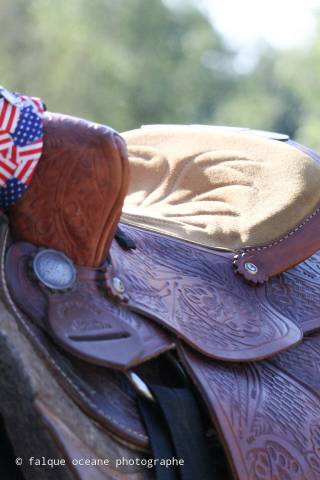 Selle western 