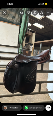 Selle prestige Carisma 17