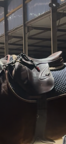 Selle prestige Carisma 17