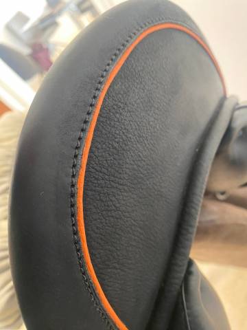 Dressage DHE Childeric 17’