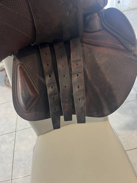 Selle CWD 2022 taille 17