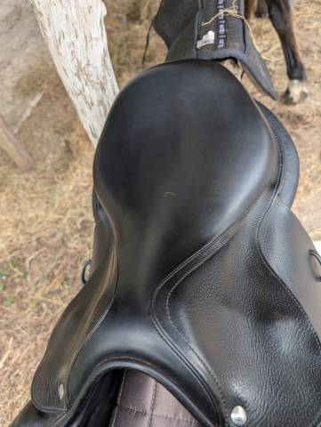 Selle CSO S&eacute;oul forestier 