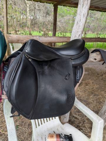 Selle CSO S&eacute;oul forestier 