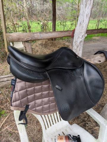 Selle CSO S&eacute;oul forestier 