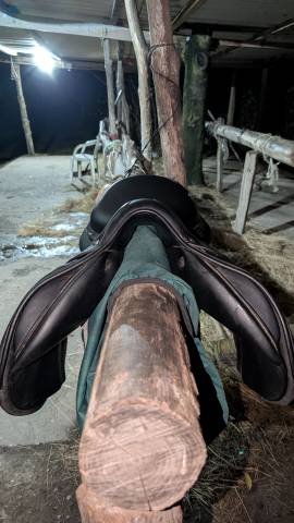 Selle CSO S&eacute;oul forestier 