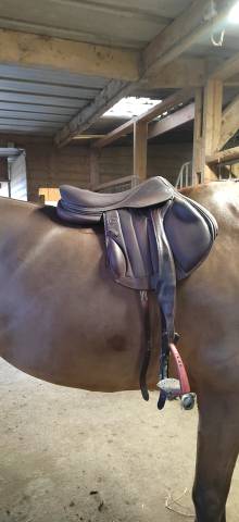 Selle forestier boeckelo