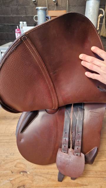 Selle antares 2022 17.5 connexion 