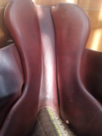 Selle Antares évolution 