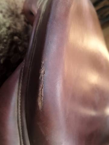 Selle Antares &eacute;volution 