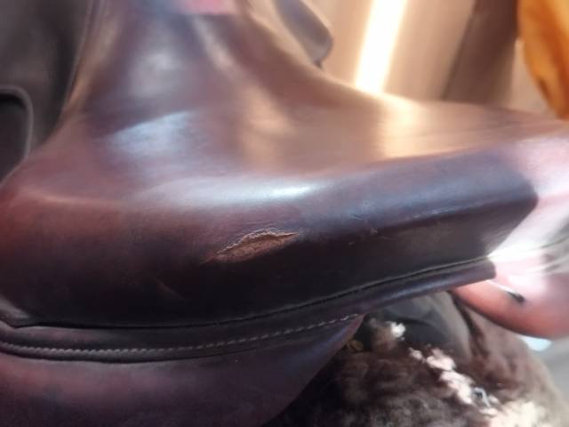 Selle Antares &eacute;volution 