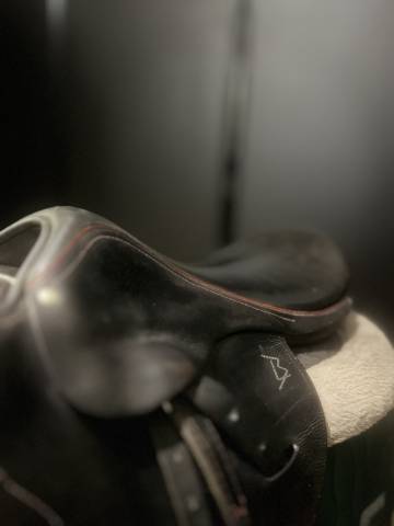 Selle d’entraînement 