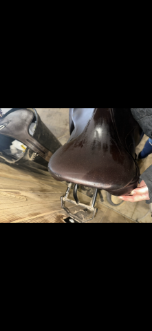 Selle childeric  FSP de 2021