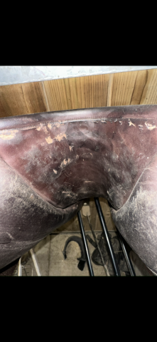 Selle childeric  FSP de 2021