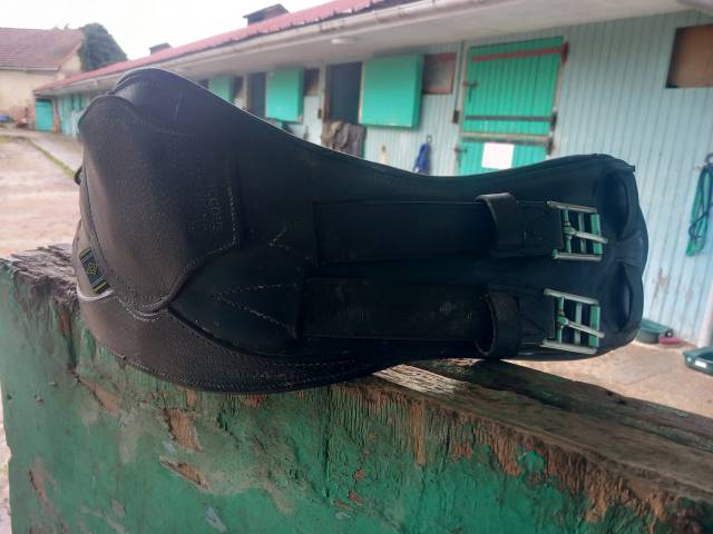 Sangle de dressage 