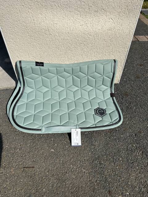 Tapis equith&egrave;me