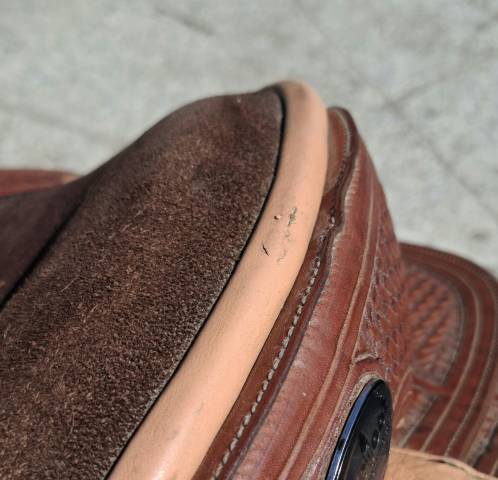 Barefoot arizona rose