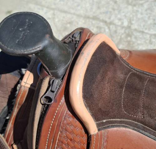 Barefoot arizona rose