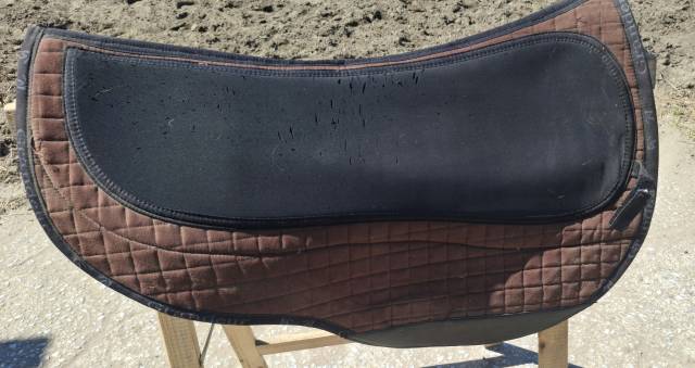 Barefoot arizona rose