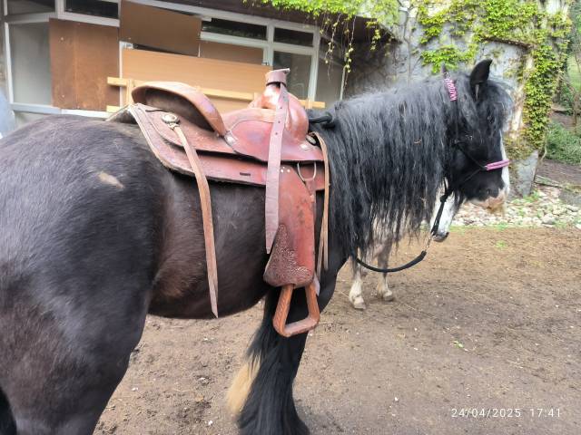 Selle western Barnes