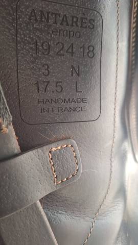 Antares Tempo dressage