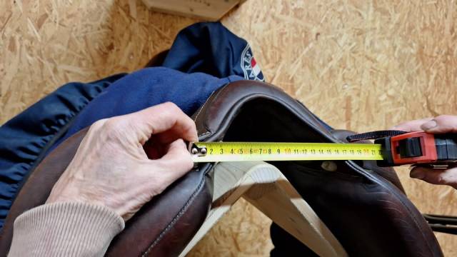 Antares Tempo dressage