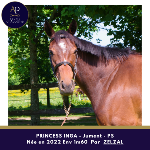 PRINCESS INGA par ZELZAL pour bonne maison