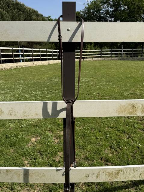 martingale taille poney