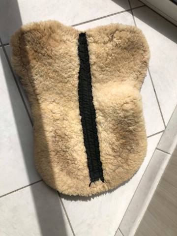 Amortisseur cheval mouton