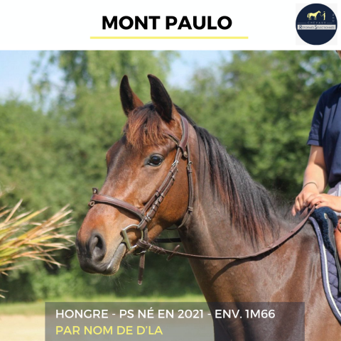 MONT PAULO - PS - 4 ANS
