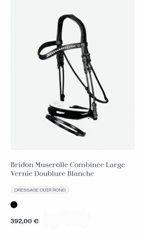 Bridon Dyon dressage vernis et blanc taille cob