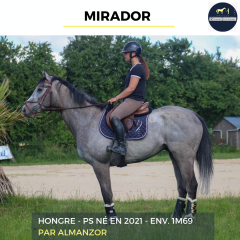 MIRADOR - PS - 4 ANS 