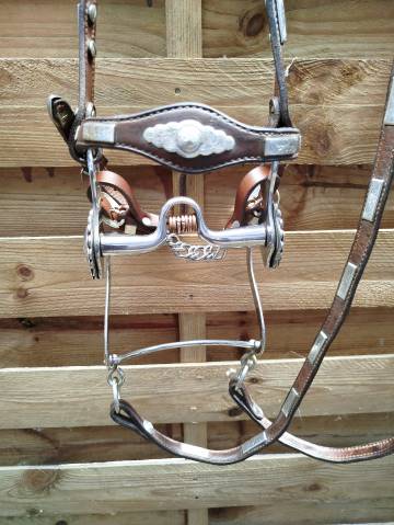 Bride western pour le show.