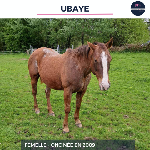 UBAYE - ONC - 16 ANS