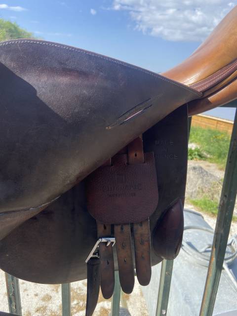 Selle Childéric + Etrivière CWD et sangle CWD