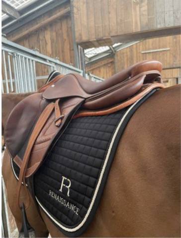 Selle Renaissance modèle F taille 18