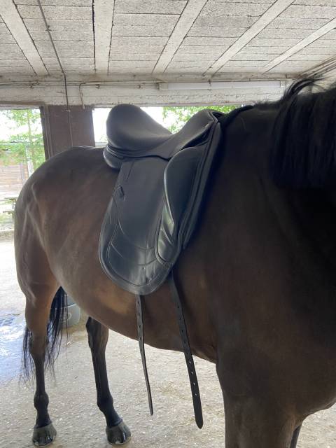 Selle de dressage CWD 18 pouces 