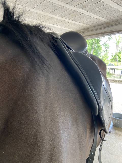 Selle de dressage CWD 18 pouces 